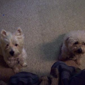 my daughters