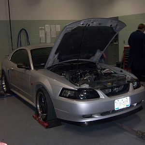 Dyno day at Morrisville state college. Comes every year sometime in october. Only $20 for 2 dyno runs on a mustang dyno.