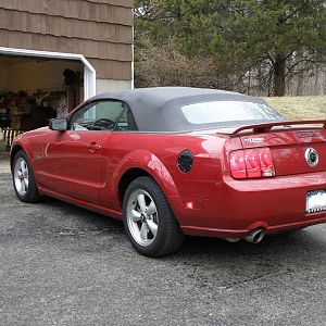 Picture rear mustang 2