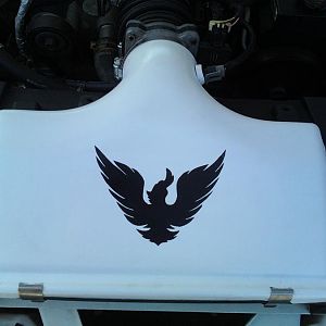Intake lid