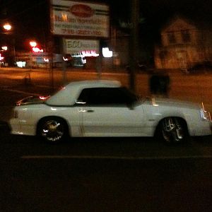 IMG 0333
