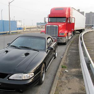 IMG 0013