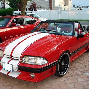 mustang