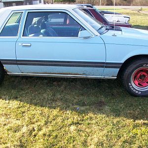 Blue Mustang 011