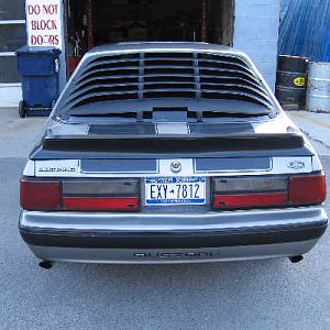 IMG 0495