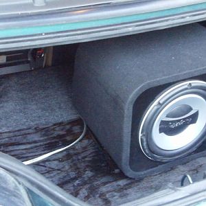 trunk