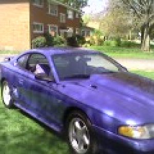 My Mustang