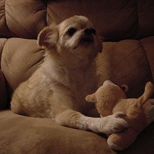 DSC01118