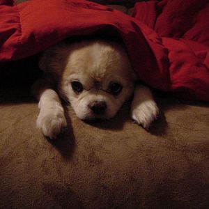 DSC01131