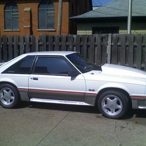 stang