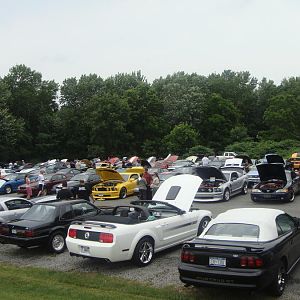 DSC02234