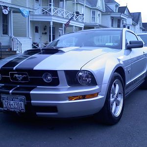 09 mustang   front2