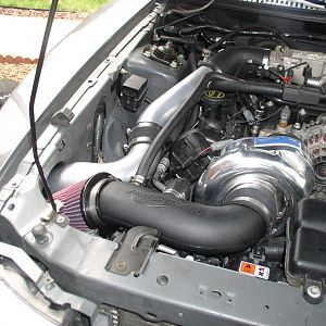 P1010030