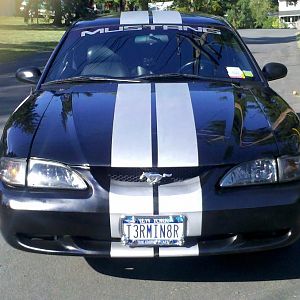 Mustang Front