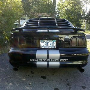 Mustang Ass