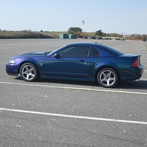 IMG 0458