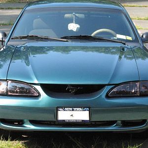 painted pony, new bumper