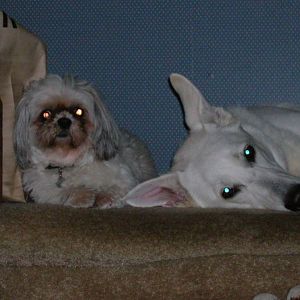 Candice and Duchess