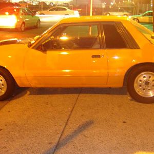 1986 MUSTANG 003