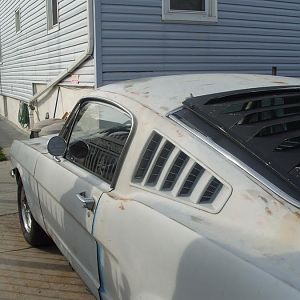 Mustang (3)