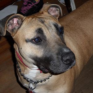 SAM 0417
