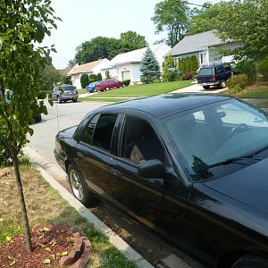 Blacked out window trim