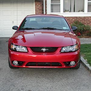 2001 SVT Cobra [4.6l DOHC V8, 5spd]
My first new Mustang