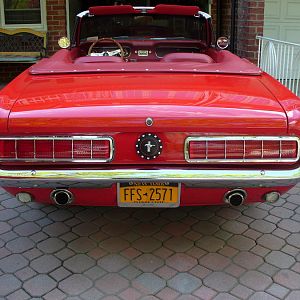 shelby taillights