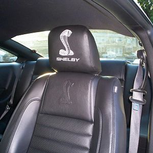 Shelby headrest covers