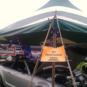 NYMustangsHangout