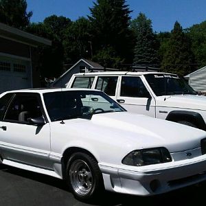 stang 1