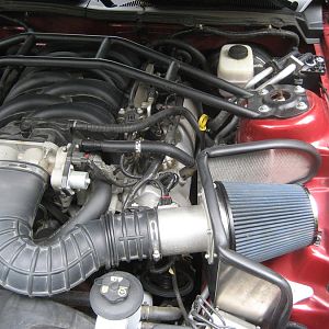 Mustang   Steeda CAI install (3)
:)