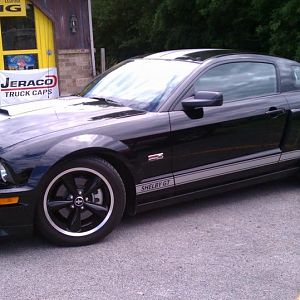 2007 SHELBY GT
