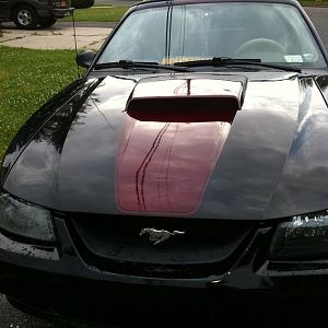 my custom racing stripe :oD
