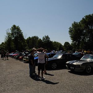 DSC 0071