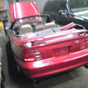 IMG00250