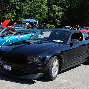 DSC 0018