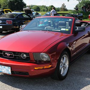 DSC 0031