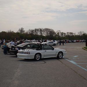 Montauk 2010
