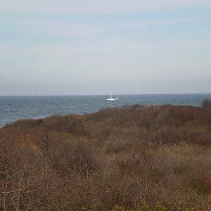 Montauk Nov 2010