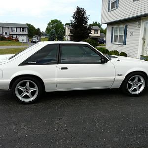 with tint
