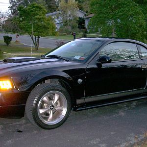 04 Mustang GT 40th Anniv 002