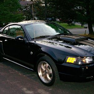 04 Mustang GT 40th Anniv 006