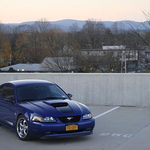 mustang 2