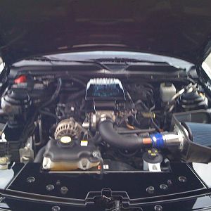 2170.jpg