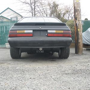 ass