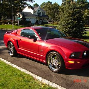 Mustang1