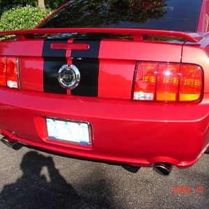 Mustang5