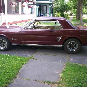 mustang 001