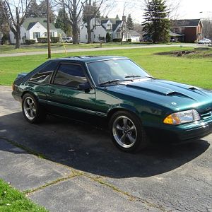 stang2